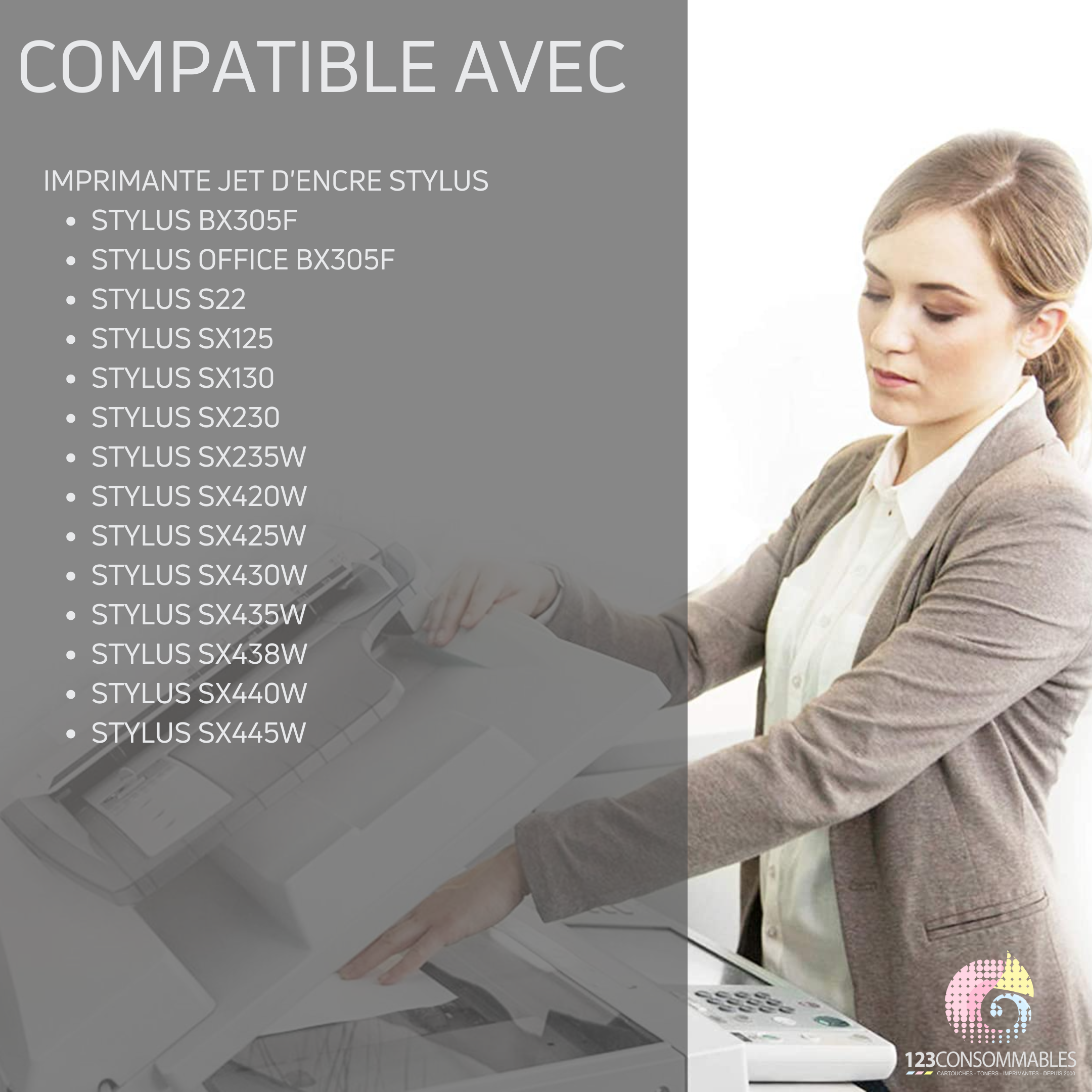 Pack compatible avec EPSON T1285, 12 cartouches